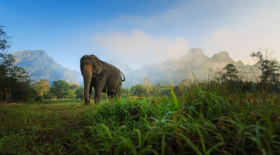Luxury Phuket, Khao Lak & Elephant Hills Experience, 12 Nights