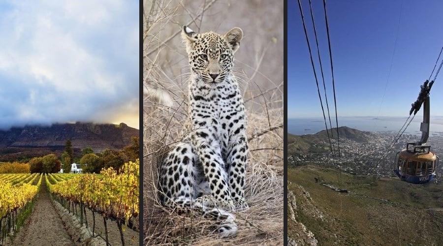 Cape Town, Winelands + Kruger Safari- 8 Nts + Flights + Car Hire